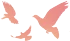 2a152720-4556-41ec-a5d9-7db7035a6706 图片